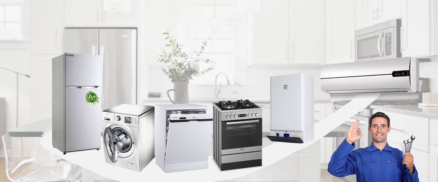 Güngören Warmhaus Servisi